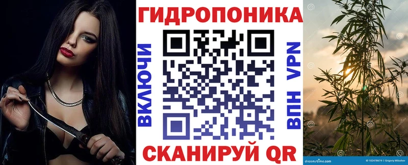 Канабис индика  наркотики  Калачинск 